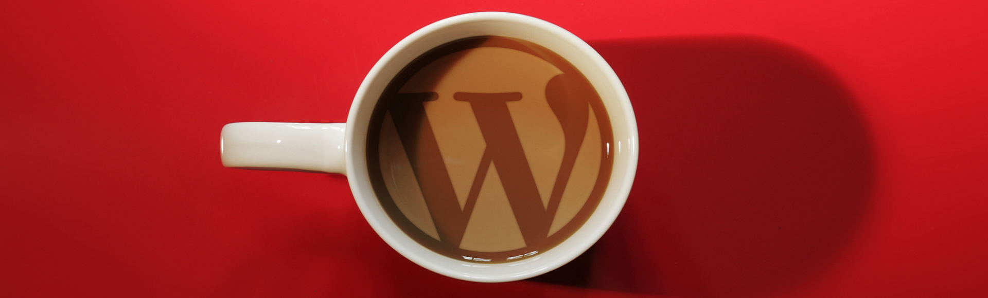 D-Sign CMScripting Development and Designing